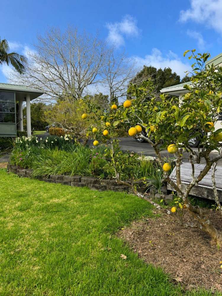 6 Kennedy Road Dairy Flat_25