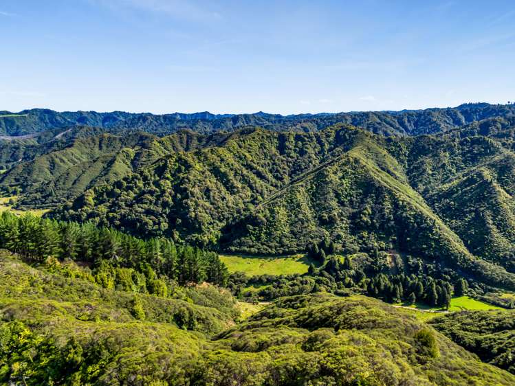 1870 Okau Road Urenui_2