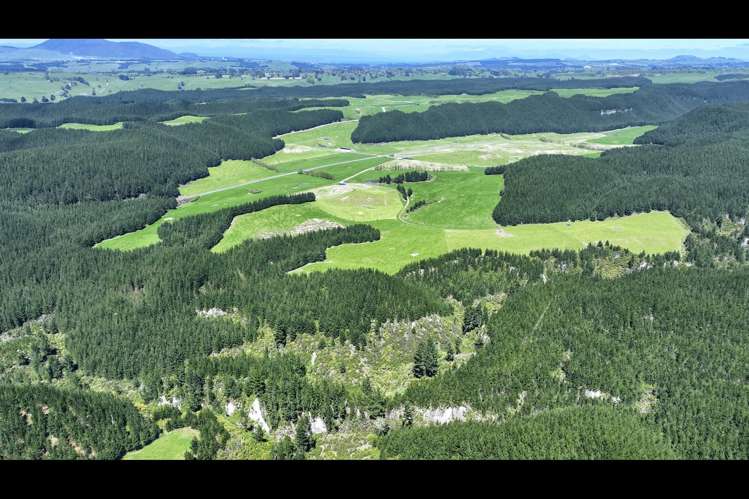 Korako Road Taupo_19