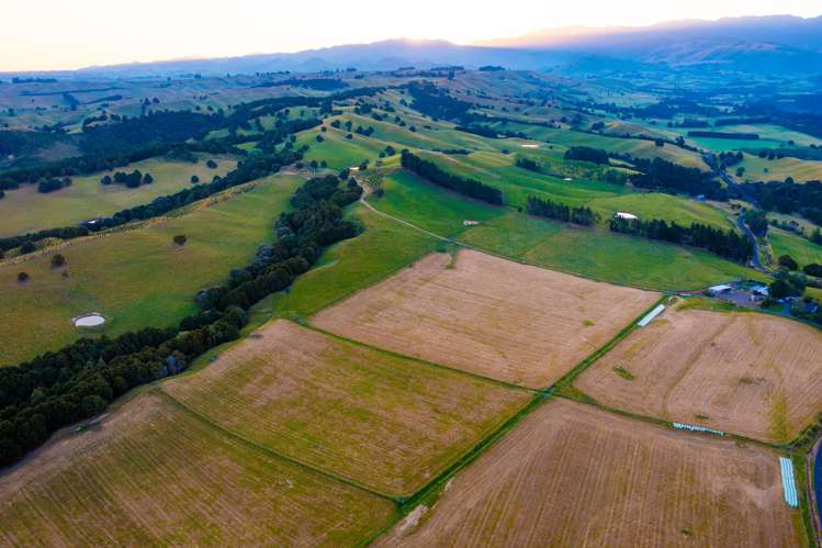 1527 Wakarara Road Ongaonga_4