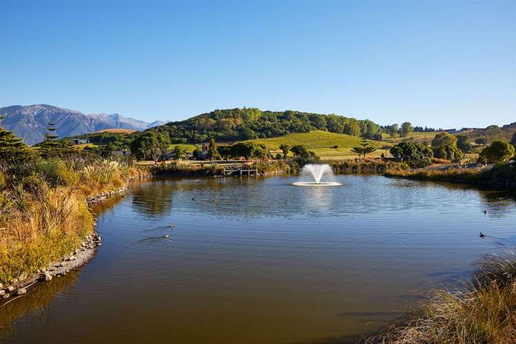 9 Mcrae Gardens Kaikoura_9