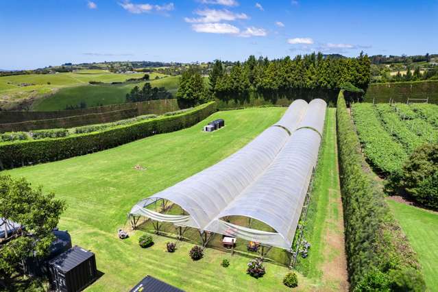 54 Sinclair Road Whakamarama_2