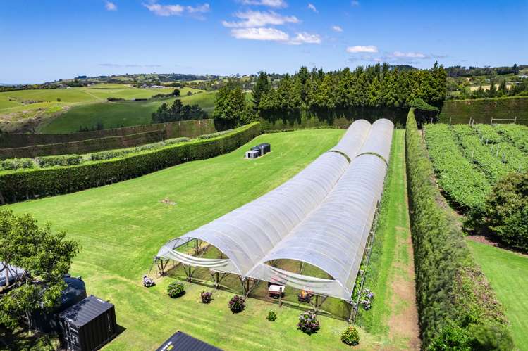 54 Sinclair Road Whakamarama_2