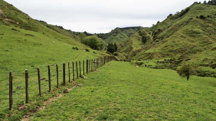 450 Ramaroa Road Aria_13