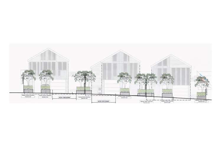 9 Bayard Street Ponsonby_11