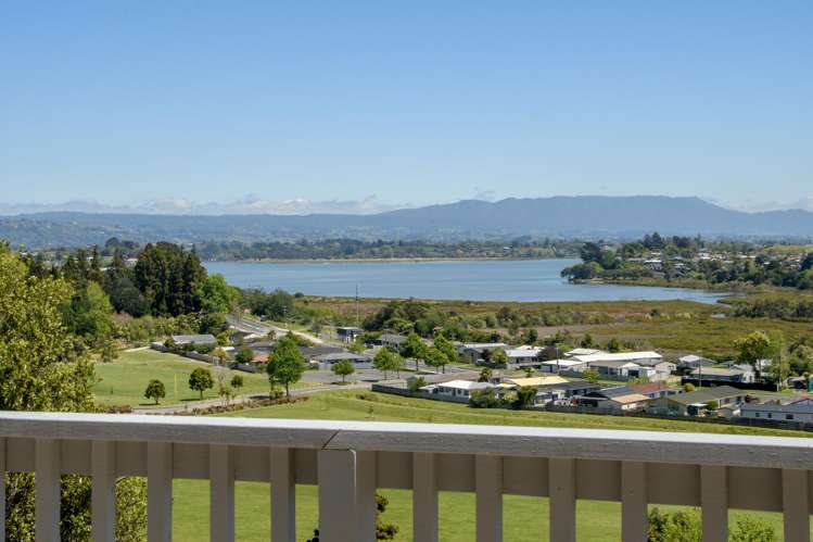 31 Carlton Street Bellevue_0