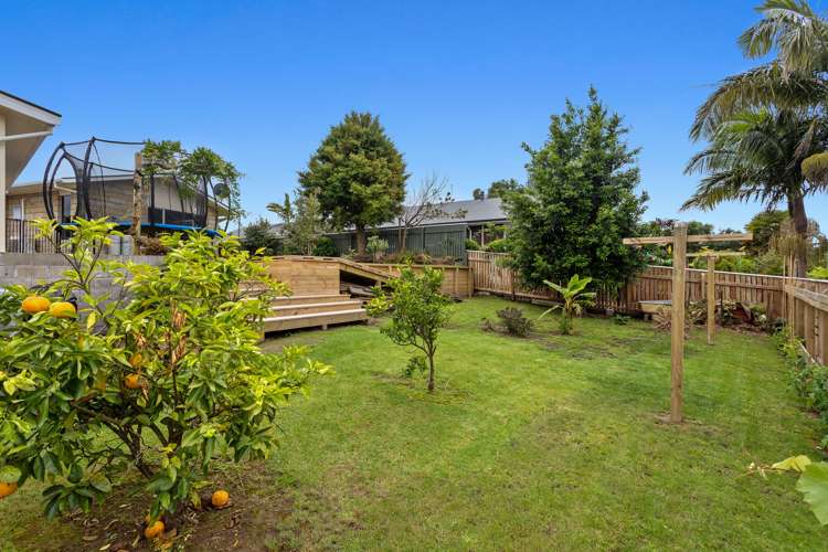 223 King Street Whakatane_13