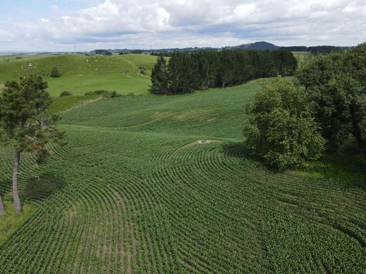 110 Stringers Road Putaruru_5