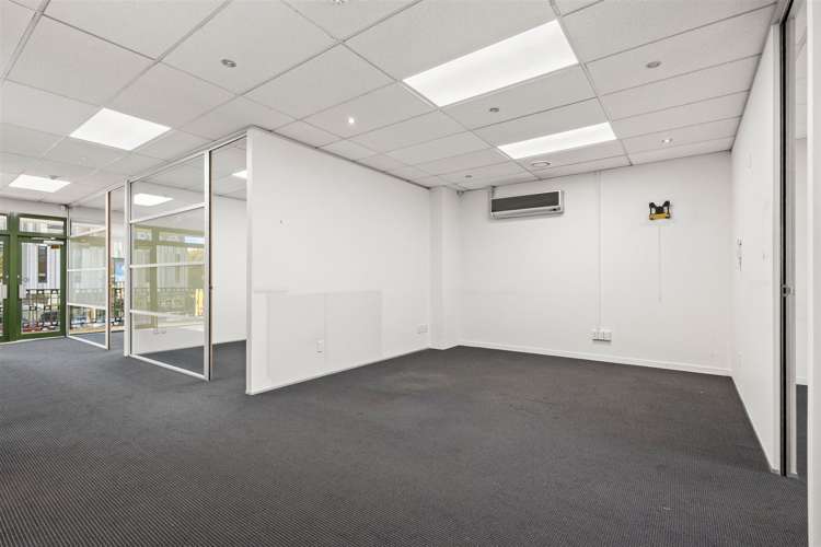 6 Washington Way Sydenham_12