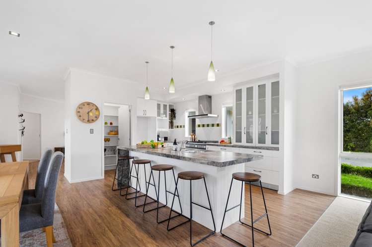 255 Austin Road Dairy Flat_10