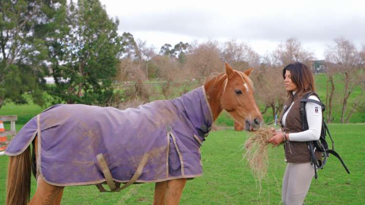 867 Whitford-Maraetai Road Beachlands_74