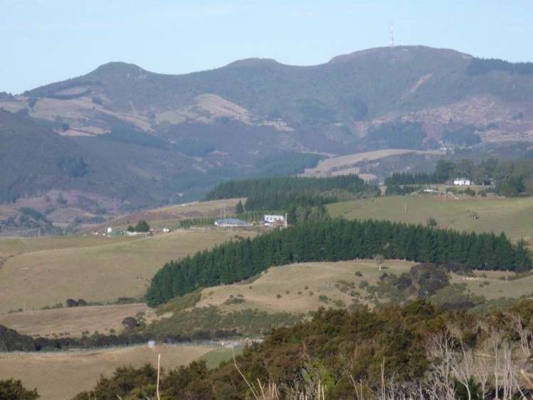 113 Wright Road Evansdale_12