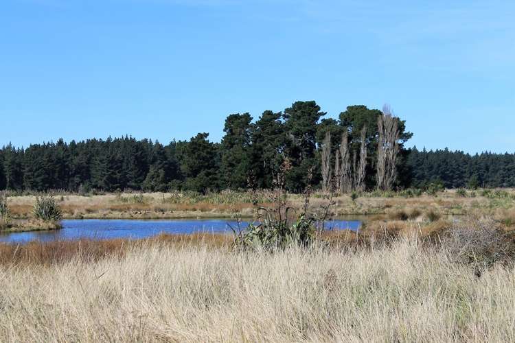 68 Te Kohanga Drive Pegasus_4