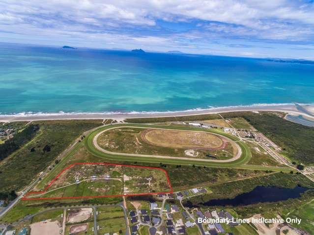 98 Peter Snell Road Ruakaka_2