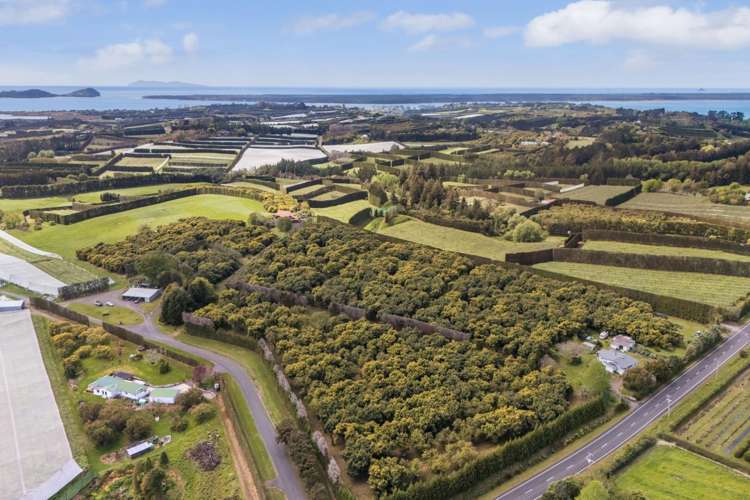 22 Noron Place Katikati_33