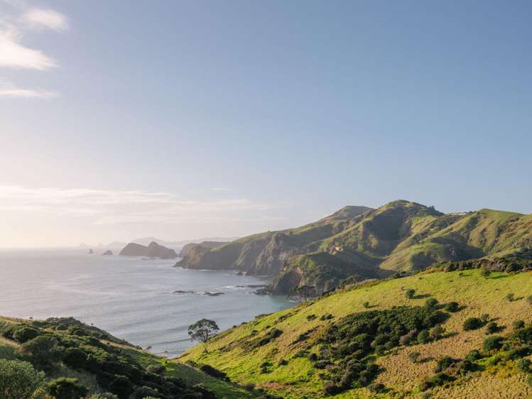 Address withheld Kerikeri_32