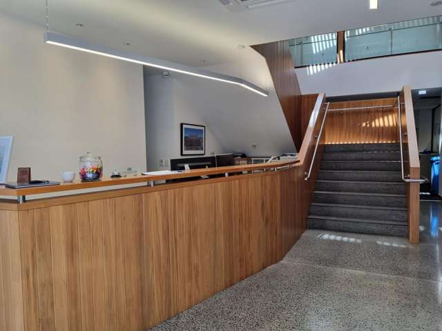 9 Francis Place Te Aro_1