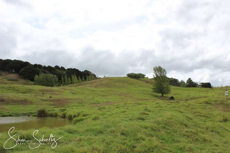 215c Heatley Road Whakapirau_26