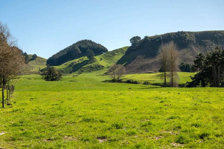 145 Totara Road Ngakuru_8