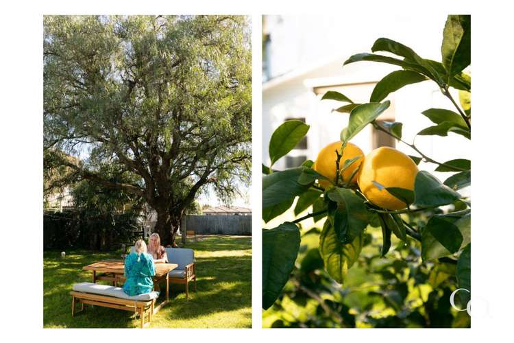 8 Tomoana Road Mahora_13