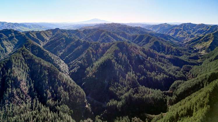 322 Creek Road Mangamahu_1