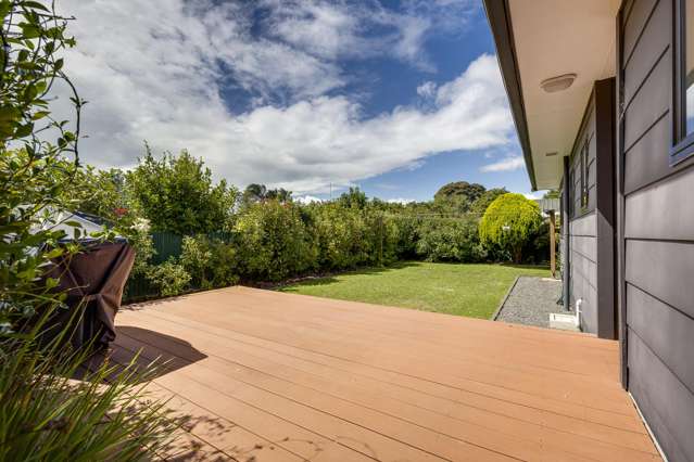 175A Vigor Brown Street Napier South_2