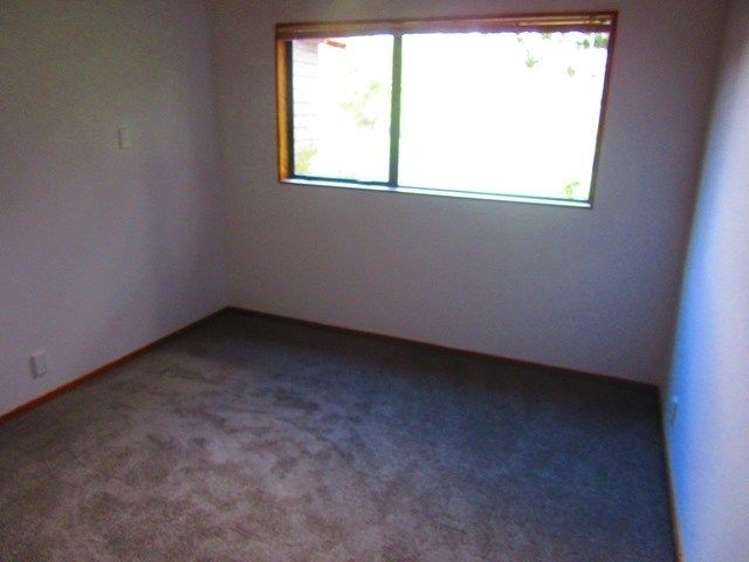 357 Pine Valley Road Dairy Flat_12