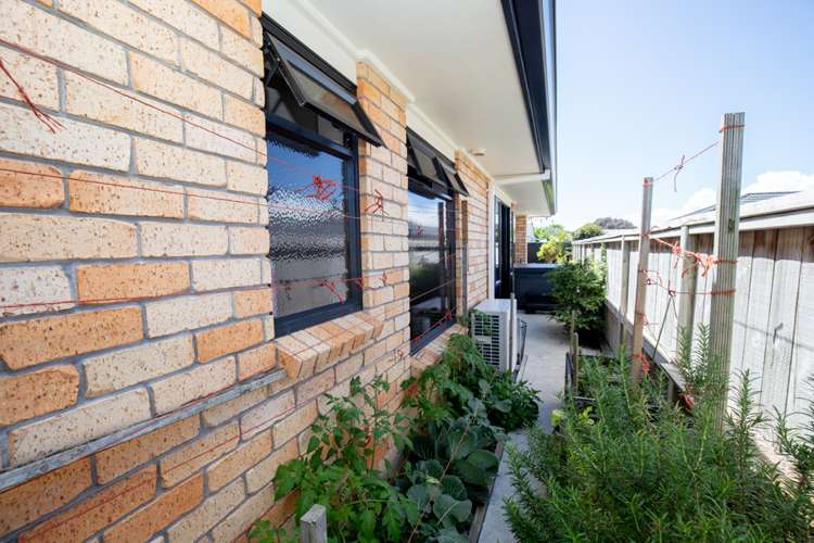 43a Darlington Street Ngatea_17