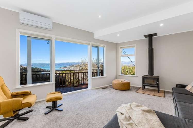 4 Broomhill Road Aro Valley_1
