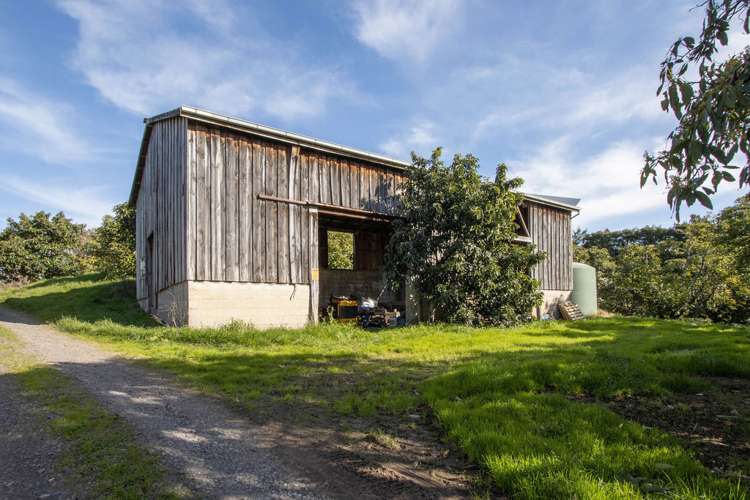 231 Walford Road Aongatete_6