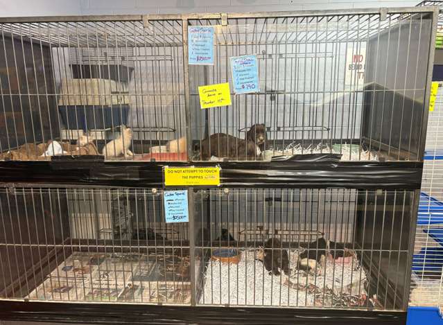 Address withheld Auckland_4