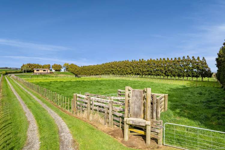 302 Otaraoa Road Waitara_20