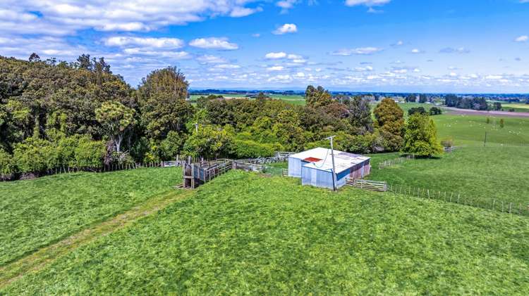 74 Galpins Road Marton_15