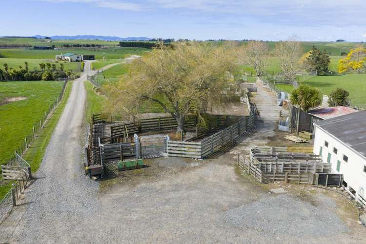 56 Managhs Road Halcombe_3