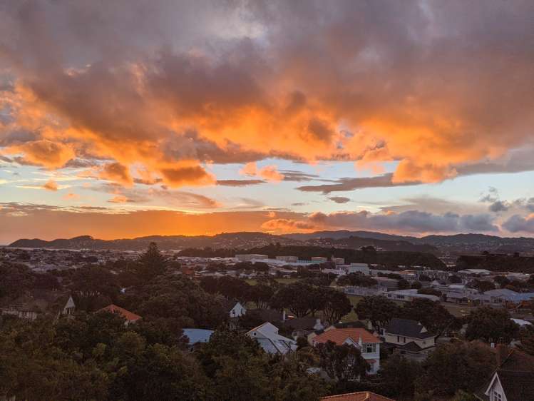 40 Townsend Road Miramar_14