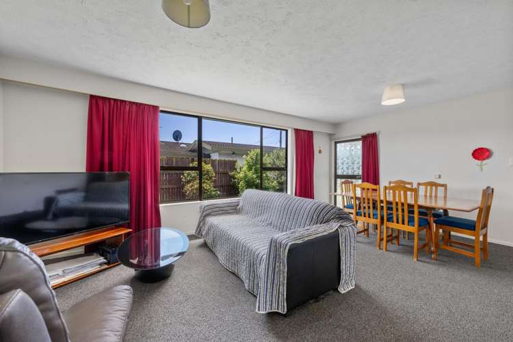 9B Francis Street Blenheim_11