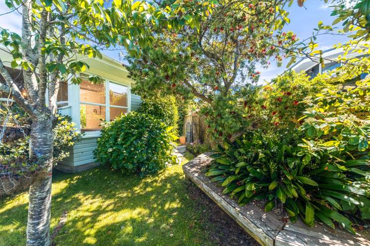 59 Seacliffe Avenue Belmont_19