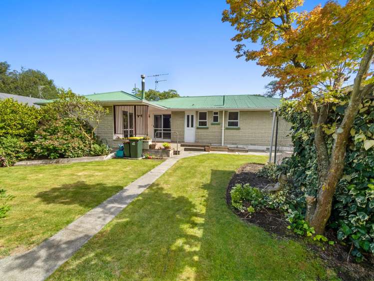 83 Thomson Street Tinwald_23