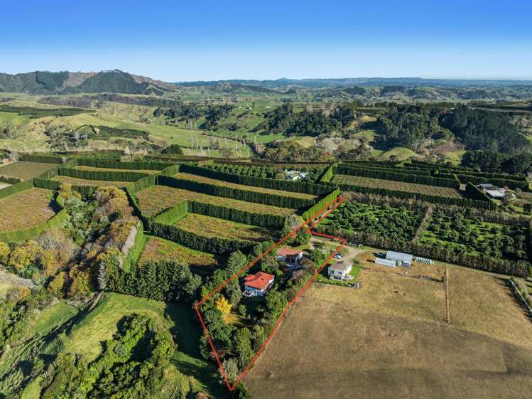 205 McCarthy Road_5