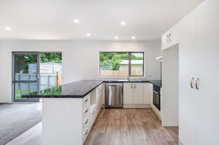 131c Elizabeth Street Tauhara_7