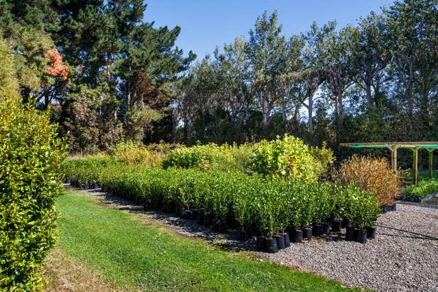 774 Taonui Road Colyton_3