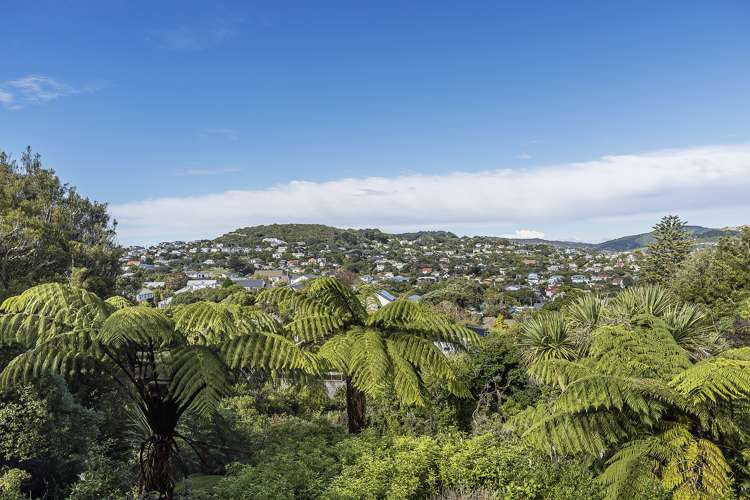 5 Mamaku Grove Khandallah_12