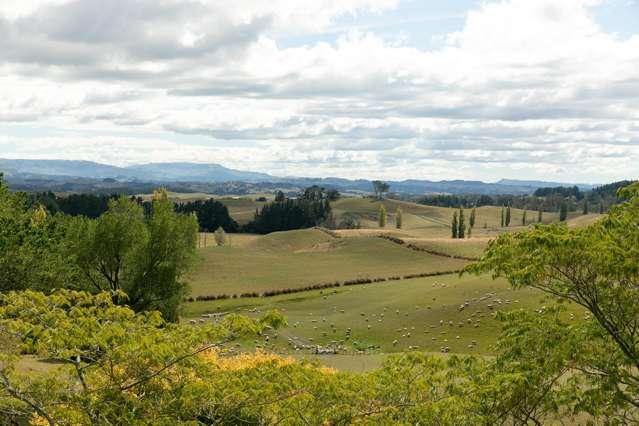 2412 Taihape Road Sherenden_1