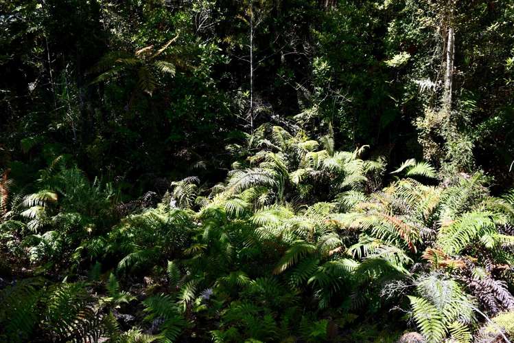 Lot 8 Sunset Heights Road Karamea_10