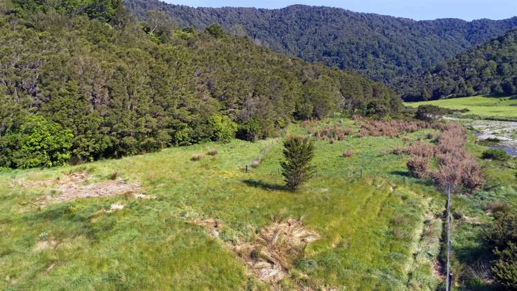 Duncan Bay Road Marlborough Sounds_6