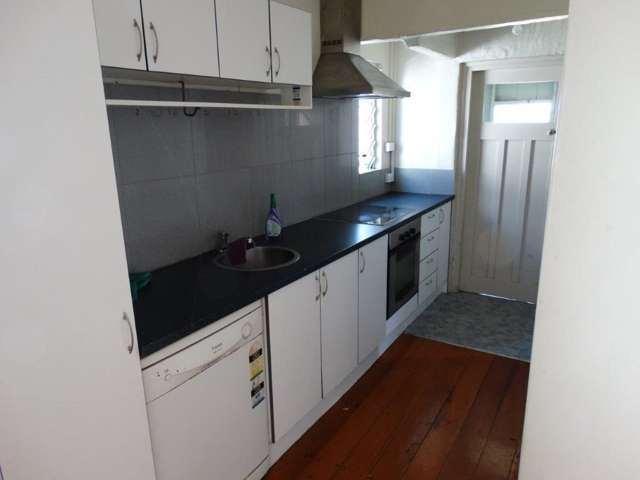 54 Old Mill Road Grey Lynn_1