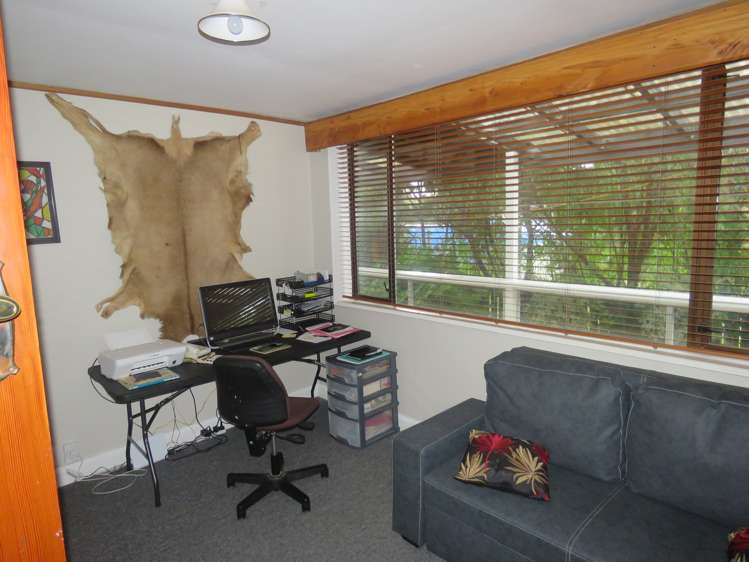 20 Greenfield Street Hector_4