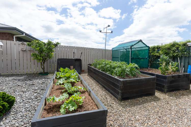 5 Rata Lane Paeroa_20