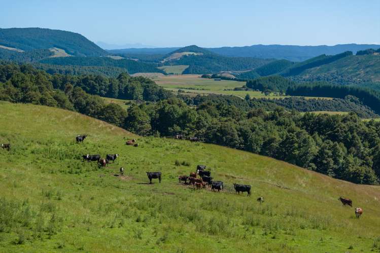 990 Howard Valley Road Howard_16