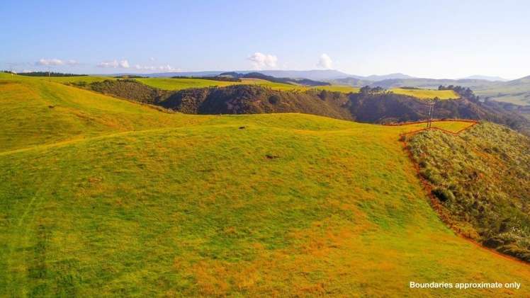 966 Omamari Road Dargaville Surrounds_11